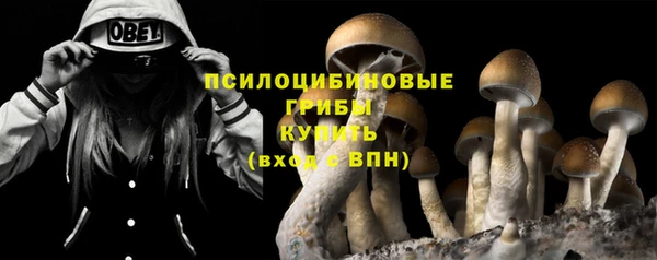 мяу мяу мука Балабаново